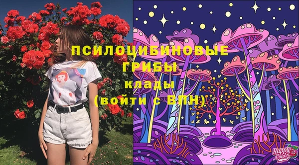 марки lsd Алексеевка