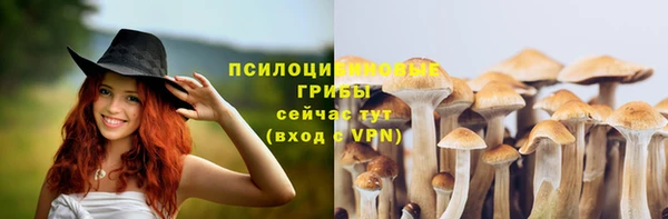 ALPHA PVP Алзамай