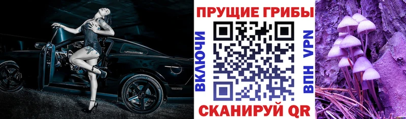 shop формула  закладка  Оленегорск  Галлюциногенные грибы ЛСД 